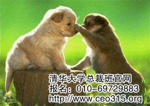 宽容