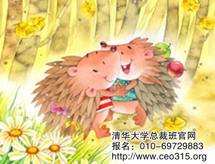 刺猬法则