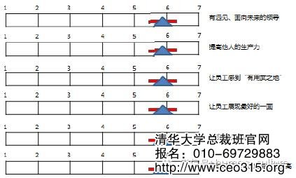 组织领导能力的理想绩效标准