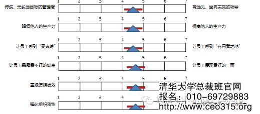 领导者实际的绩效标准与差距