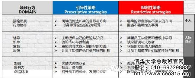领导力发展的领域